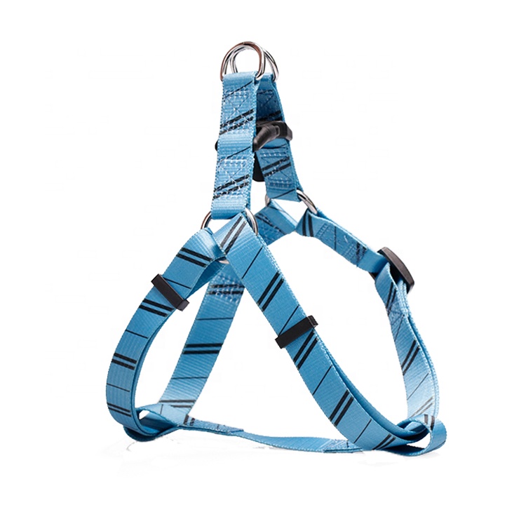 Velvet Walking Cat Harness Vest