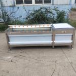 380V Cleaning Equipment Machines Stainless Steel For Cleaning Fruits