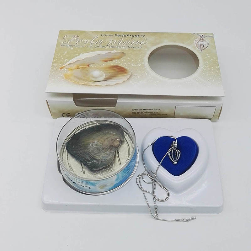 Festive Birthday Gift Love Wish Pearl Kit Heart Cage Pendant with 17 " Chain Necklace Love Lovers