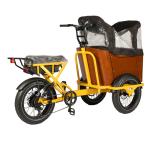 NO Foldable Three Wheel Cargo Tricycle E-bike for Family and Food Delivery