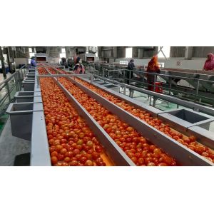 Wholesale Pasteurization Ketchup Processing Line 12 - 14 Brix SUS304 from china suppliers