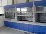 Steel Structure Laboratory Fume Hood High Temperature Resistant Adjustable