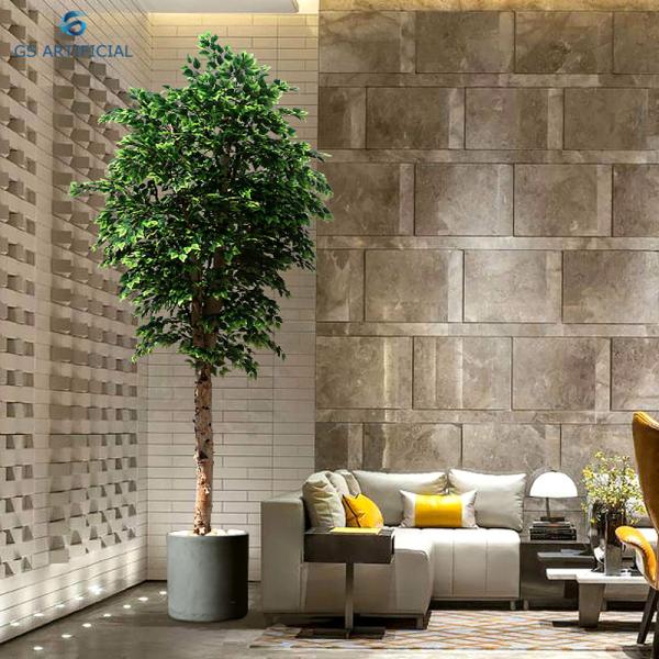 Tall And Straight Artificial Decorative Trees Wood Trunks Birch Customize Size