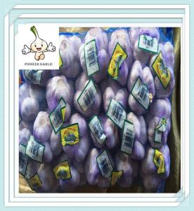 Wholesale organic White Garlic with Competitive Export Price normal white fresh garlic, size4.0cm from china suppliers
