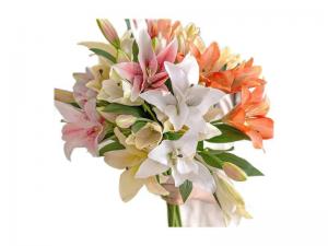 Wholesale OEM Artificial PU Silk Calla Lily Flowers White Pink from china suppliers