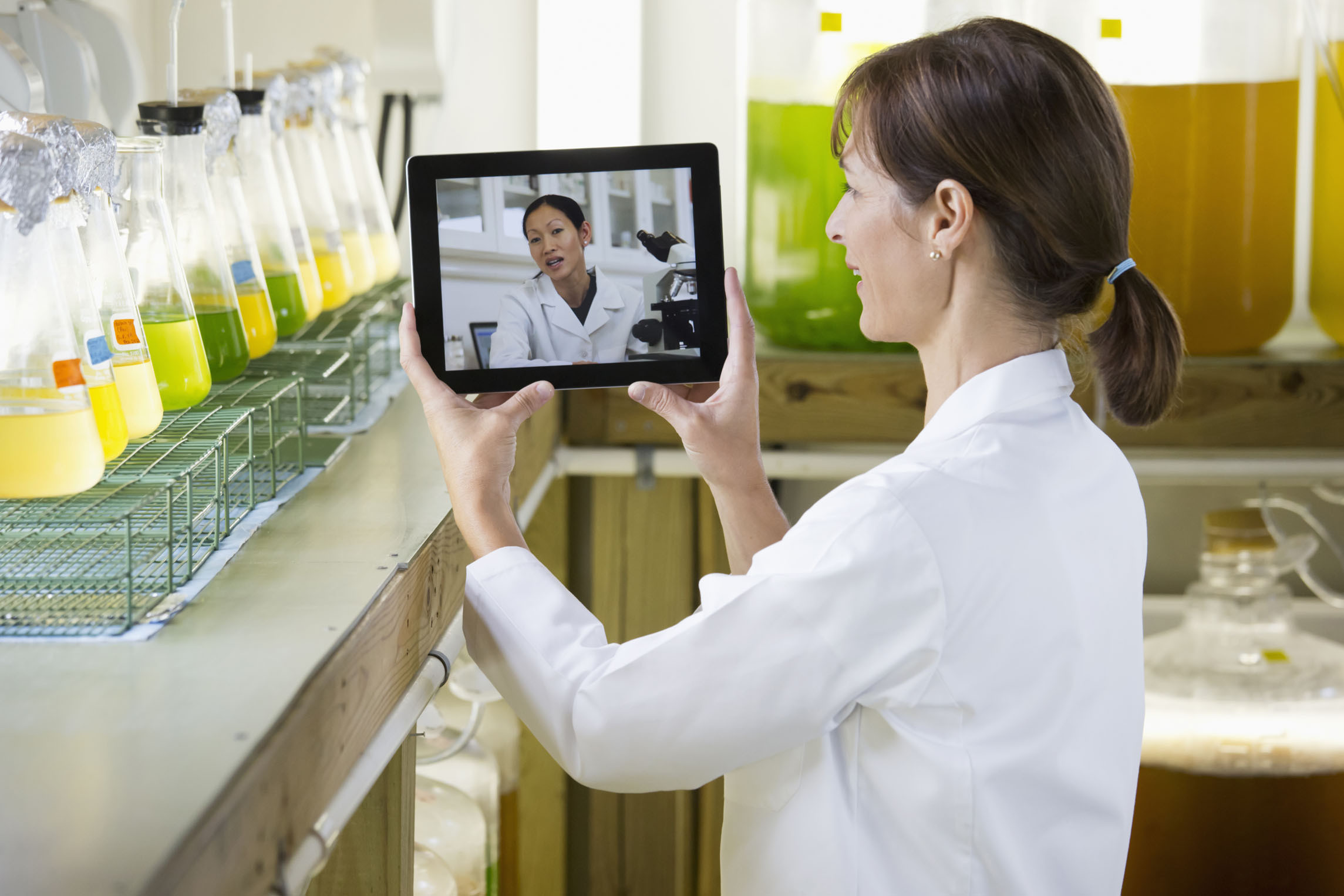 Requirements for video conferencing in distance education