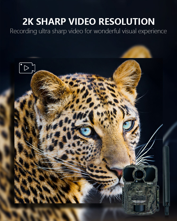 game&trail camera High-End for 4G hunting camera KW896 with Antenna 100ft Night Range 32MP 2K wildlife camera 4g