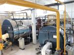 Low Consumption Fuel Gas Fired Steam Boiler Efficiency , Small Gas Boiler 1000Kg