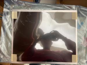 Wholesale 17&quot; G170ETN02.2 Sunlight Readable 1280x1024 LCD Display Panel from china suppliers