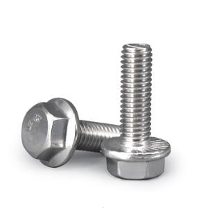 China Metric Stainless Steel Hex Cap Serrated Flange Bolt With Nuts on sale