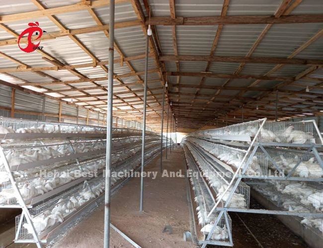 3 Tier Or 4 Tier Poultry Battery Cage System For Layers Iris