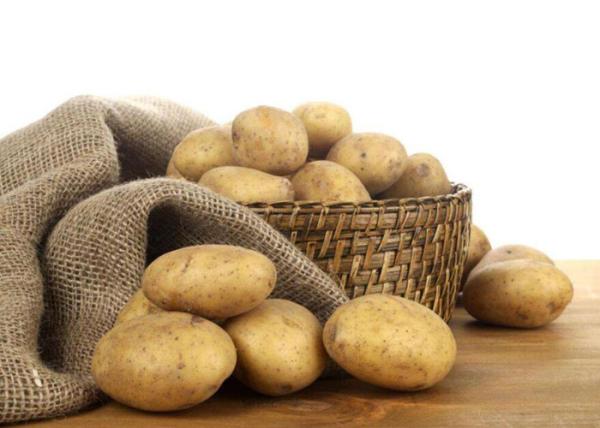 CE Approved Food Preparation Equipments , Electric Commercial Potato Peeler