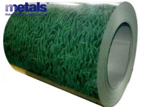 Wholesale Pre Painted Color Coated PPGL PPGI Steel Coils Sheet Customized from china suppliers