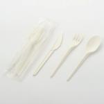 CPLA Manufacture Disposable Fork Biodegradable Eco Friendly Cutlery Fork
