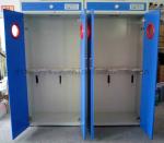 Gas Cylinder Laboratory Storage Cabinets Multiscene Acid Resistant