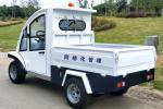 Four Passengers Electric Patrol Car 700KG Lithium Battery