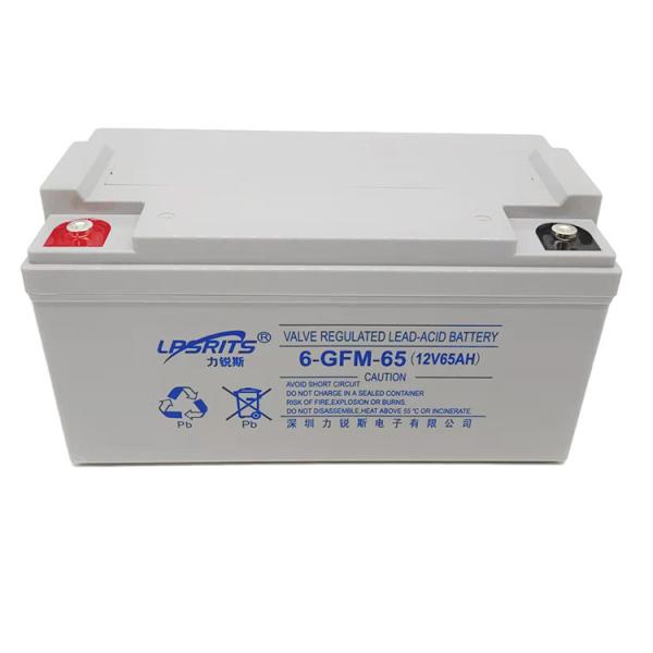 Lpsrits 12V 65Ah Valve Regulated Lead Acid Batteries VRLA AGM Battery For UPS