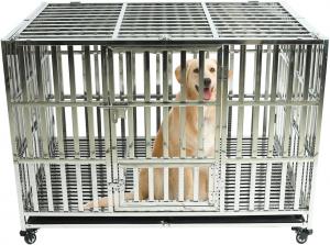Wholesale 47 Inch Heavy Duty Stainless Steel Dog Cage High Anxiety Indestructible and Escape-Proof Dog Crate Kennel for Large from china suppliers