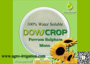 China DOWCROP HIGH QUALITY 100% WATER SOLUBLE MONO SULPHATE FERROUS 30% LIGHT GREEN POWDER MICRO NUTRIENTS FERTILIZER on sale