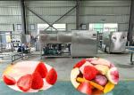 200KG Intelligient Food Lyophilizer Freeze Drying Machine