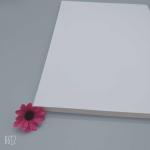 210/230/250/270/300/350/400gsm Food Grade Virgin Pulp Small Ivory/FBB for Food