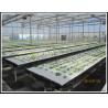 Buy cheap PE Plastic Film Hydroponic Multi Span Greenhouse For Vegetable Growing from wholesalers