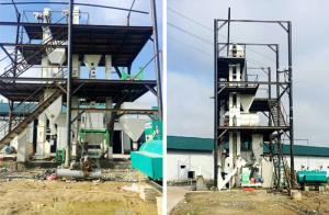 Wholesale Small Farm Feed Pellet Mill Line Stainless Steel Materials For Chicken from china suppliers