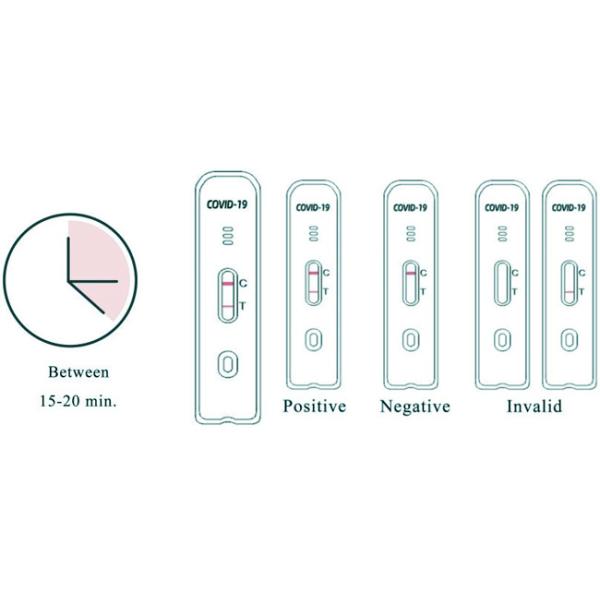 COVID-19 Antigen Home Test Kit 10 Tests/Kit CE For Nasal Swab Accuracy 99.68%