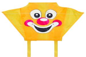 Wholesale 46*32CM Nylon Kites , Single Line Type Small Parafoil Kite Customized Logo from china suppliers