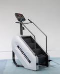 RoHS Cardio Stair Climber Step Machine Gym 200kg