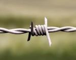 Galvanized Barbed Wire Fence Low Carbon Steel Wire 3.5mm