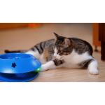 Hot Selling Pet Food Container Slow Feeding Bowl Iq Treat Dog Toy Fun Feeder