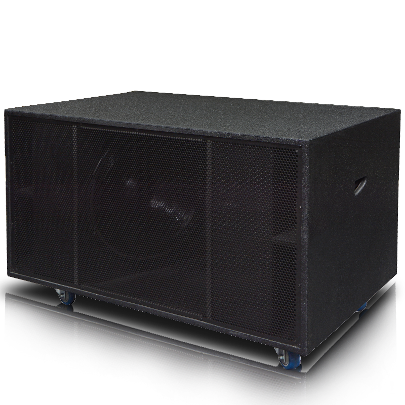 Dual 18 Inch 200Hz 100dB 1200W Line Array Sound System