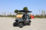 2+2-Seater Luxury Gray Electric Golf Cart With High Horsepower 14-Inch Off-Road