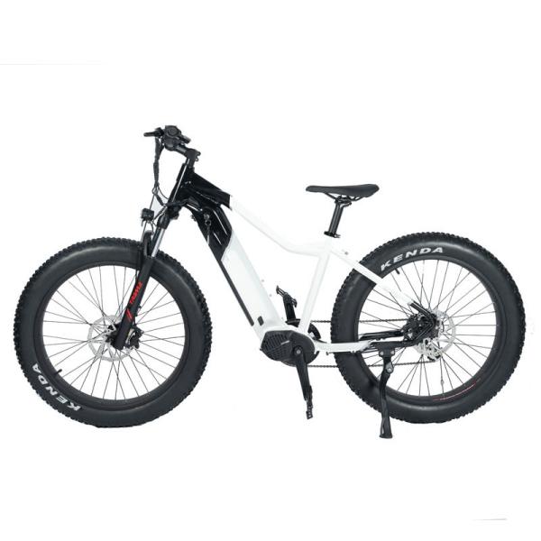 750W 1000W High Power Electric Mountain Bike with Full Suspension and Hydraulic