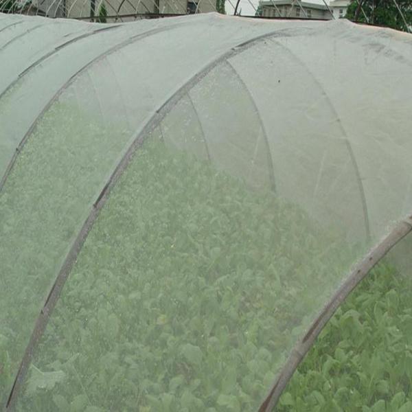 Wholesale 40 50 60 Mesh Anti Insect Protect Net