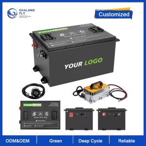 Wholesale OEM ODM LiFePO4 Lithium Battery Pack Lithium Ion Battery 48V For Golf Cart from china suppliers