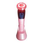Professional Galvanic Massage 2 In 1 EMS Beauty Device