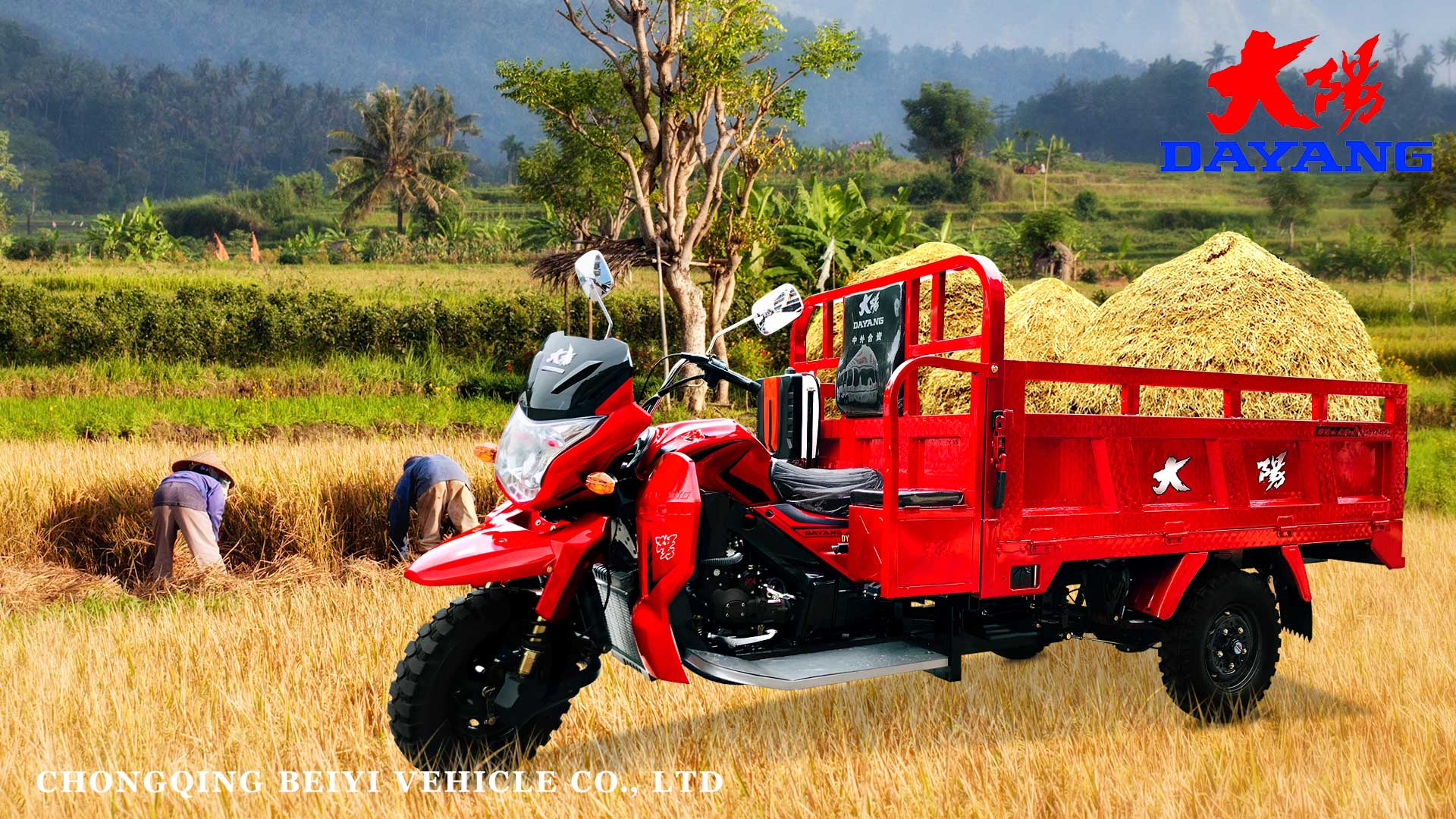DAYANG 2021 Model Motorized Tricycle 250 CC Gasoline Cargo Tricycle RUITENG Red 28 A