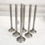 NT855 machinery parts diesel engine valve intake valve 135957 3000926 4955698