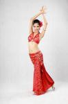 2pcs Halter Neck Red Metallic Belly Dance Performance Wear Bras & Skirt Belly