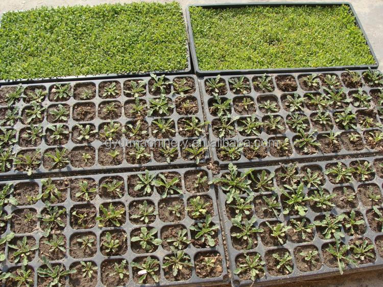 High Seeding Accuracy Automatic Eggplant Lettuce Cucumber Seeds Trays Planting Machine for Seedlings Transplant
