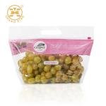 500g Vegetables Resealable Stand Up Pouch Bags Dry Fruits Packaging Pouch Zipper