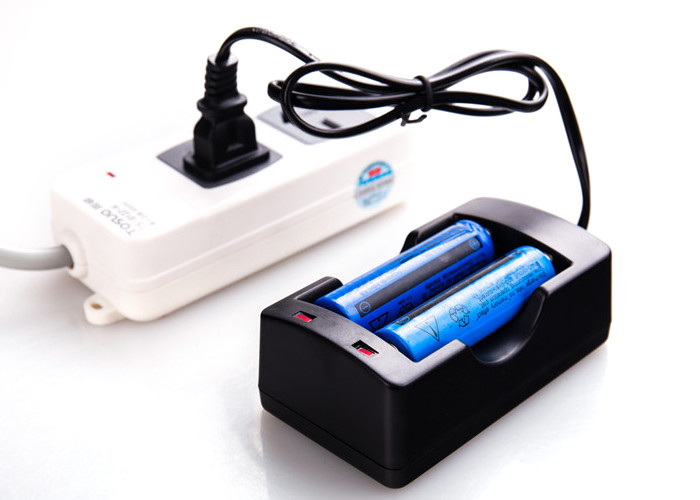 Safety 2 Bay Plug In Battery Charger With 750mm Wire 104*58*38mm Size