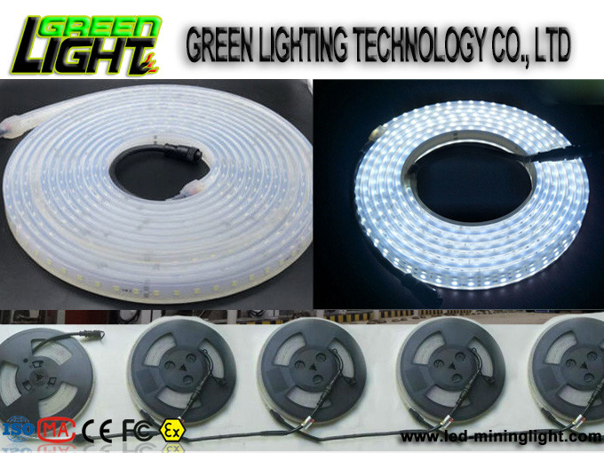 Silicone 12w Ip68 SMD5050 Flexible Led Light Strips