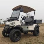 Utility Trucks With 2 Passenger And 48V 5KW AC Motor Journey Golf Cart Standing