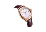 Automatic Stainless Steel Watch Three Hand Antique Custom 9015 Movt Sapphire