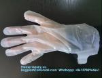 Biodegradable Compostable Recyclable Beauty Product Natural Skin Care Disposable