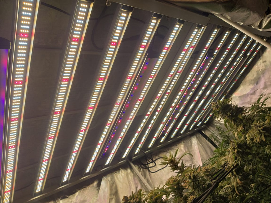 1500W Horticulture LED Grow Light Samsung LM301H Osram 660nm 730nm
