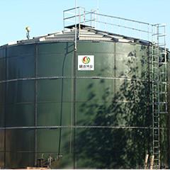 Wholesale Biogas EGSB Reactor Upflow Anaerobic Sludge Blanket Digestion For Chicken Manure from china suppliers